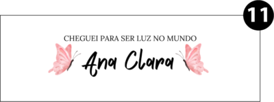 Ativo 11