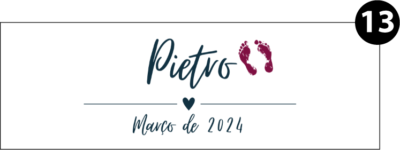 Ativo 13